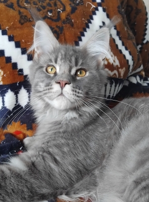 Nová posila našeho teamu