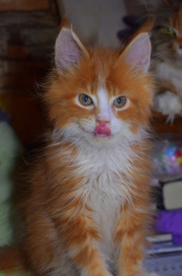 Představujeme Vám naši novou posilu