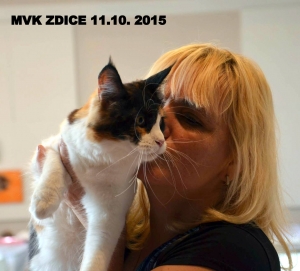 MVK ZDICE 11.10. 2015