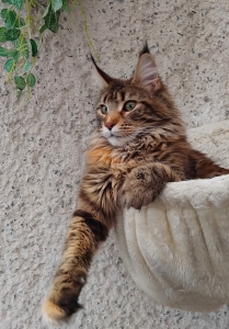 Venkovní sezona zahájena